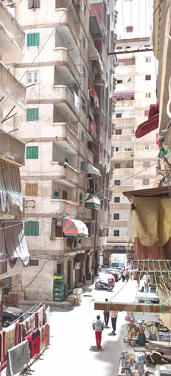 https://aqarmap.com.eg/ar/listing/6992456-for-sale-alexandria-el-asafra-salman-el-farsi-st