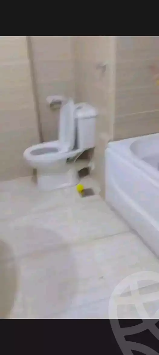 https://aqarmap.com.eg/en/listing/6993097-for-rent-cairo-ain-shams-alf-maskn
