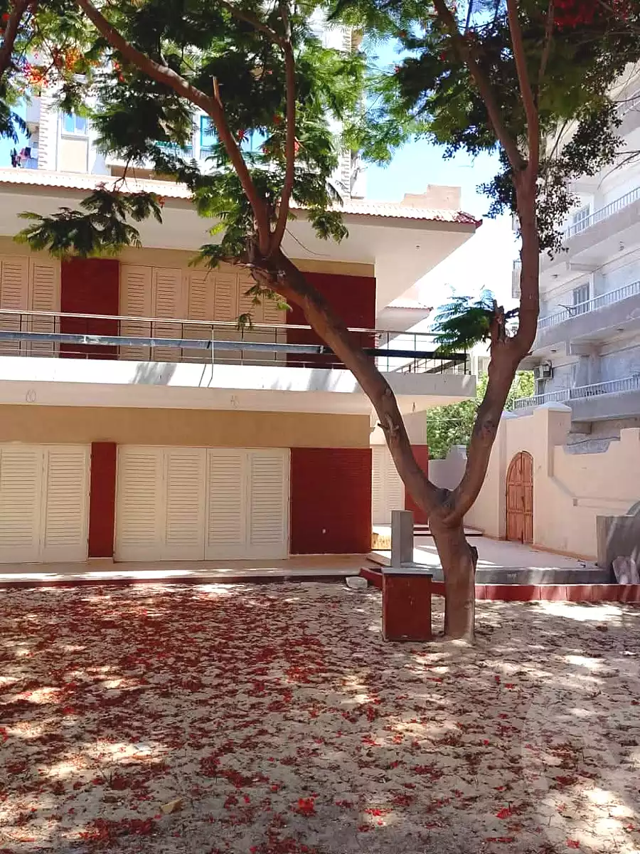 https://aqarmap.com.eg/ar/listing/6993848-for-sale-alexandria-al-agamy-lbytsh-shahr-al-assal-st