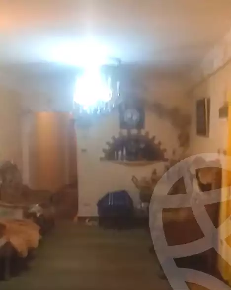 https://aqarmap.com.eg/en/listing/6997085-for-rent-alexandria-el-asafra-shr-45