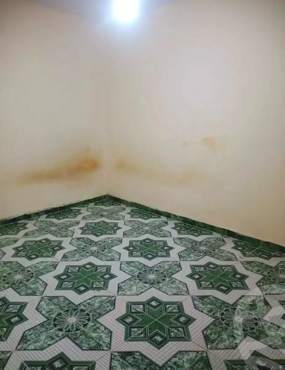 https://aqarmap.com.eg/ar/listing/6997780-for-rent-alexandria-sydy-bshr-sydy-bshr-bhry