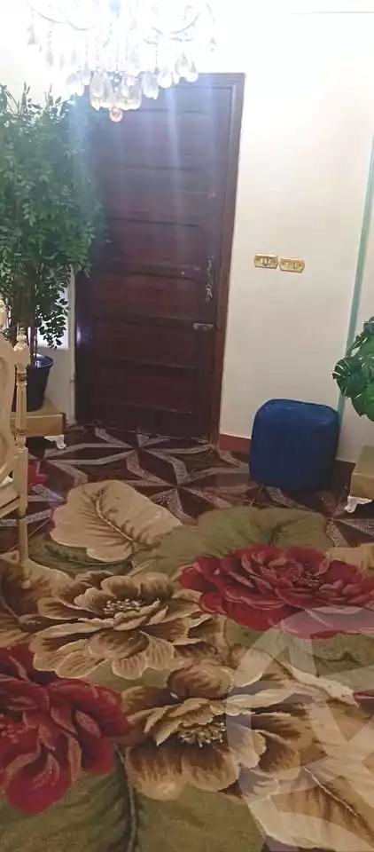 https://aqarmap.com.eg/ar/listing/6997948-for-sale-alexandria-al-agamy-lbytsh-shahr-al-assal-st