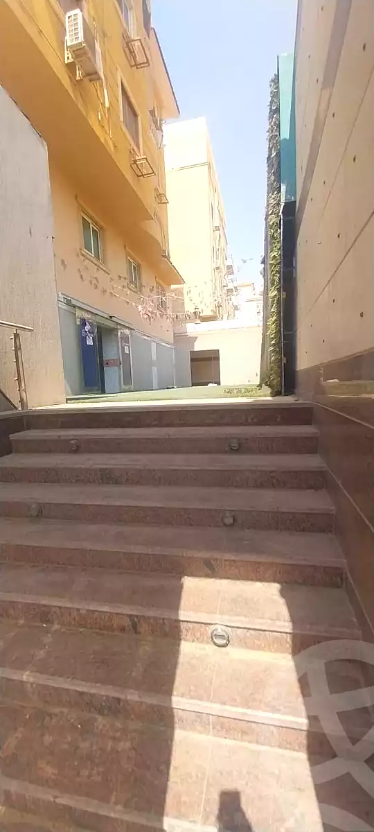 https://aqarmap.com.eg/en/listing/6999514-for-rent-cairo-new-cairo-gharb-arabila-doctor-hani-maher-st