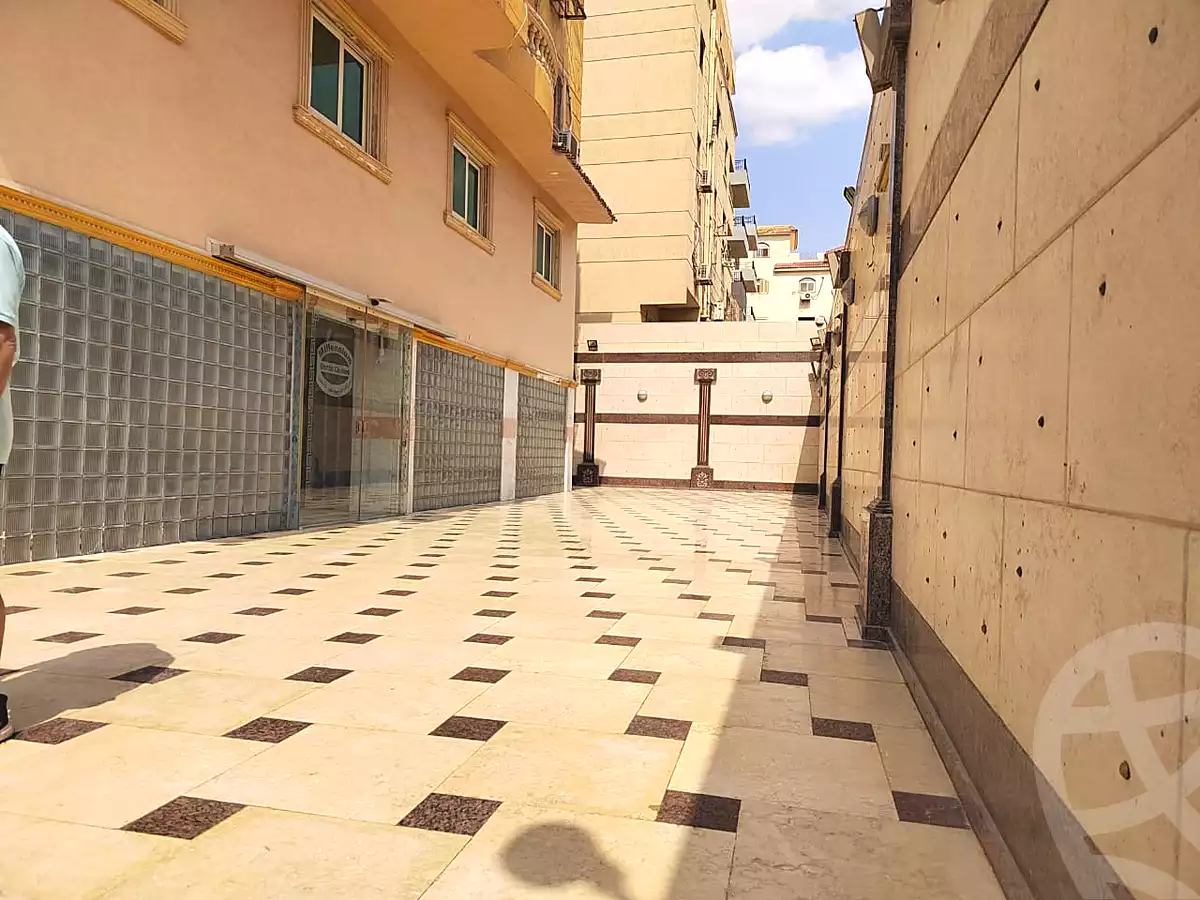 https://aqarmap.com.eg/en/listing/6999514-for-rent-cairo-new-cairo-gharb-arabila-doctor-hani-maher-st