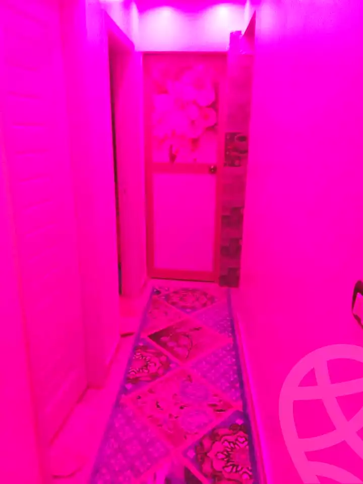 https://aqarmap.com.eg/en/listing/6998678-for-sale-alexandria-al-agamy-lbytsh-shahr-al-assal-st