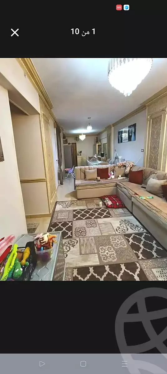 https://aqarmap.com.eg/ar/listing/7001902-for-sale-alexandria-lsywf-el-falki-street-16-el-eslah
