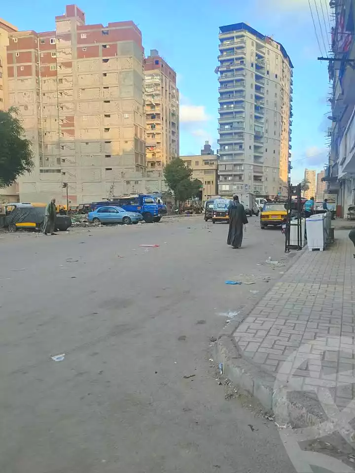 https://aqarmap.com.eg/ar/listing/7002367-for-sale-alexandria-el-asafra-l-sfr-qbly-street-30