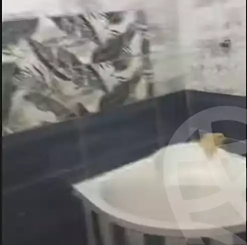 https://aqarmap.com.eg/en/listing/7006480-for-sale-cairo-ain-shams-ain-shams-el-sharkia-shr-brhym-bd-lrzq