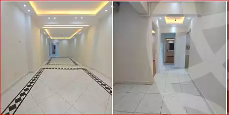 https://aqarmap.com.eg/en/listing/7006637-for-sale-alexandria-miami-ibn-moeslh-al-arman-st