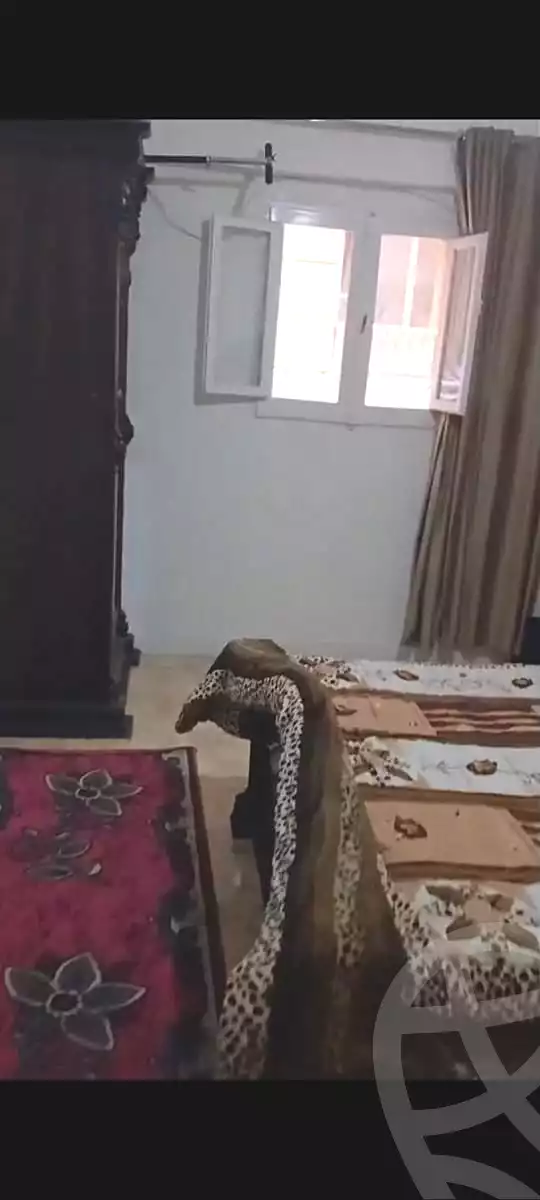 https://aqarmap.com.eg/en/listing/7007503-for-sale-alexandria-smouha-el-nasr-st