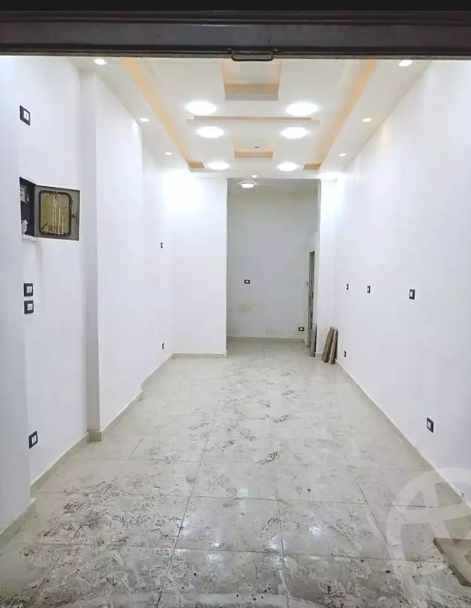 https://aqarmap.com.eg/ar/listing/7008343-for-rent-alexandria-miami