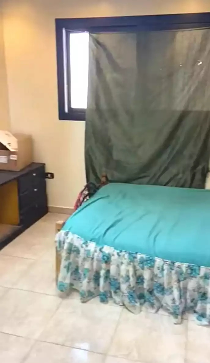 https://aqarmap.com.eg/en/listing/7008903-for-sale-cairo-faisal-el-maryotyah