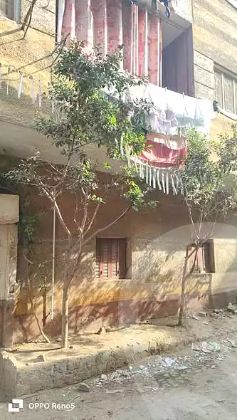 https://aqarmap.com.eg/en/listing/7011465-for-sale-cairo-ljyz-el-moneeb