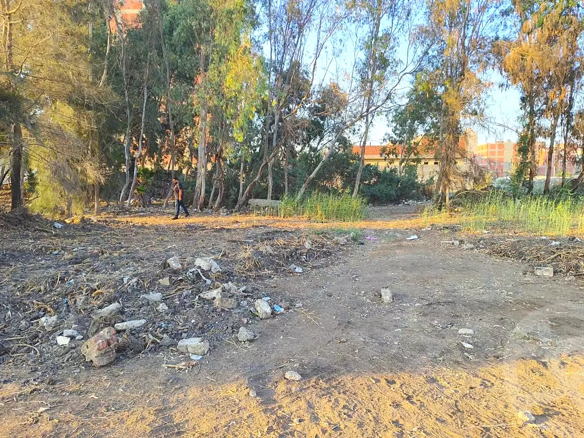 https://aqarmap.com.eg/ar/listing/7014167-for-sale-dakahlia-mansoura-el-bashtamir