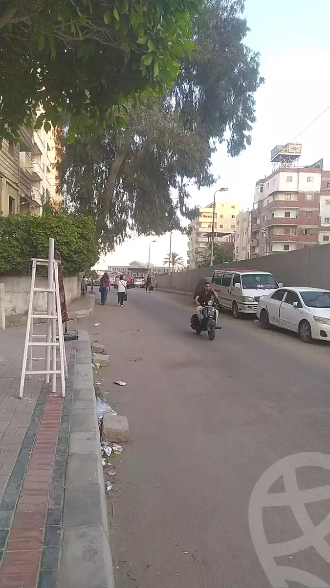 https://aqarmap.com.eg/en/listing/7016689-for-sale-alexandria-bakoos