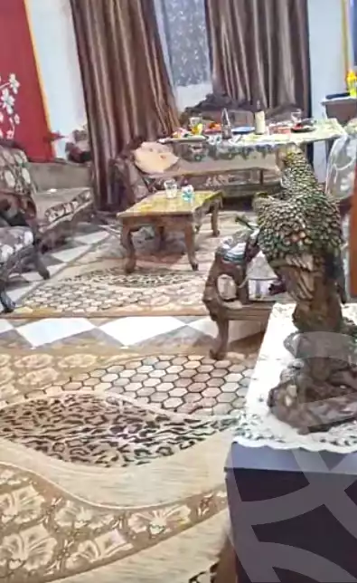 https://aqarmap.com.eg/en/listing/7020470-for-sale-cairo-ljyz-el-warraq