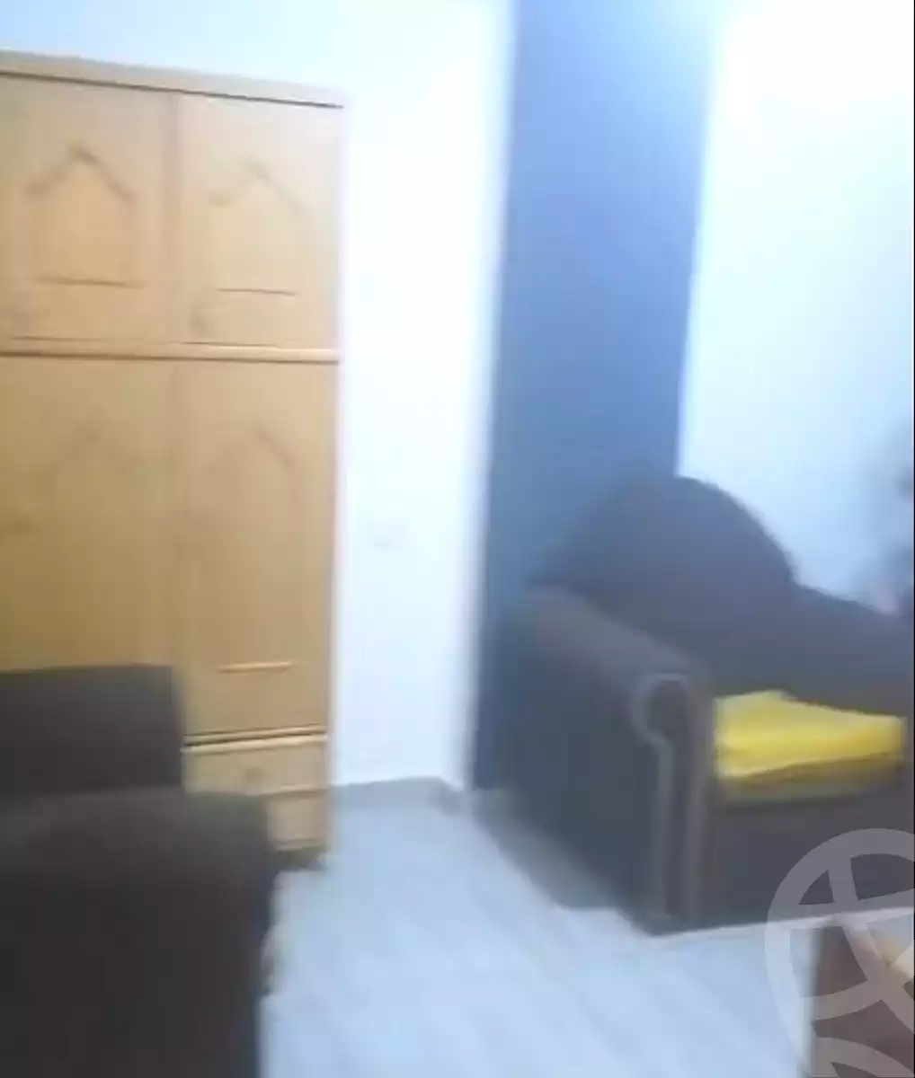 https://aqarmap.com.eg/en/listing/7024353-for-sale-cairo-ain-shams-mnshy-lthryr