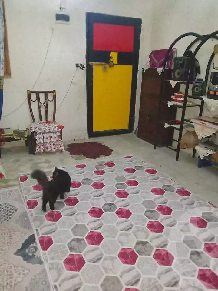 https://aqarmap.com.eg/ar/listing/7025361-for-sale-alexandria-al-agamy