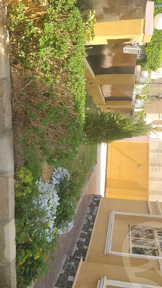 https://aqarmap.com.eg/en/listing/7026034-for-rent-cairo-new-cairo-90th-street-south-teseen-st