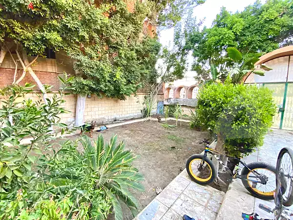 https://aqarmap.com.eg/ar/listing/7026762-for-rent-alexandria-al-agamy-bw-ywsf