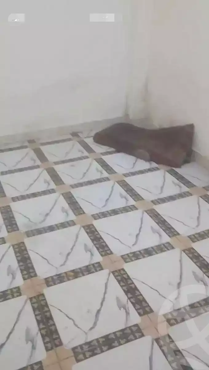 https://aqarmap.com.eg/ar/listing/7026958-for-sale-cairo-el-haram-shareaa-khatem-el-morsalen