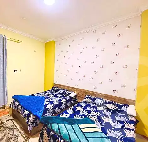 https://aqarmap.com.eg/en/listing/7028295-for-rent-sharqia-zagazig-zagazig-city-ghasham-rd