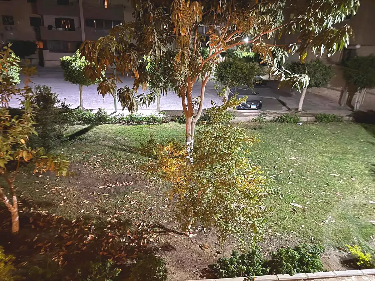 شقة بـ٣ غرف نوم في روضة الازهر، صورة ١٢ من ١٥