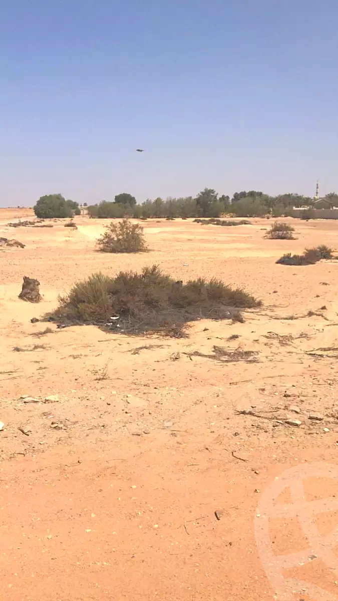 https://aqarmap.com.eg/ar/listing/7032270-for-sale-cairo-el-sheikh-zayed-city-lshykh-zyd-ljdyd-el-reef-el-oroby