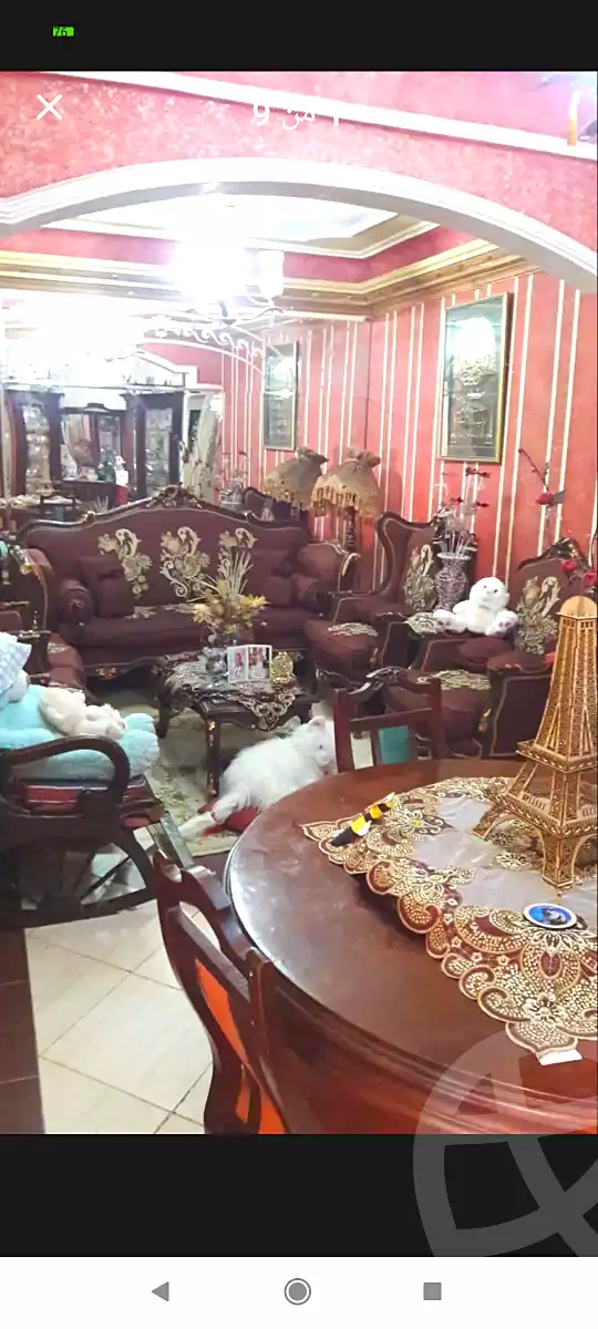 https://aqarmap.com.eg/ar/listing/7034461-for-sale-alexandria-al-agamy-lbytsh-princess-st