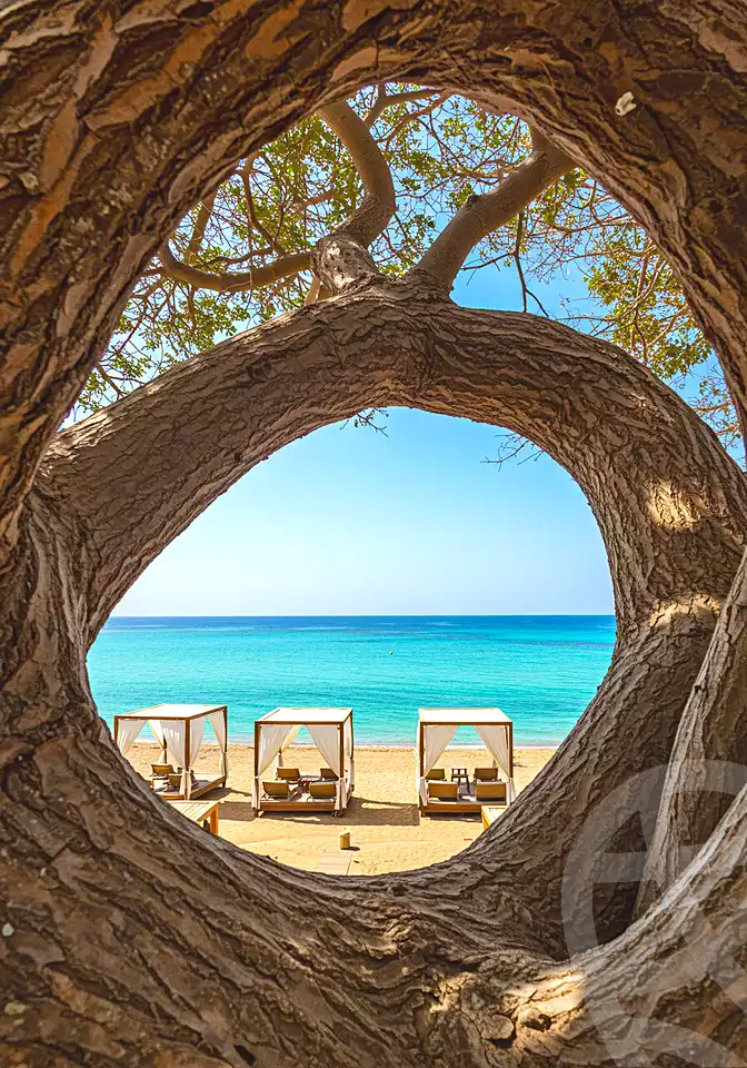 https://aqarmap.com.eg/ar/listing/7034447-for-sale-marsa-matruh-marsa-matrouh-resorts-marsa-baghush-resort-shehab-mazhar