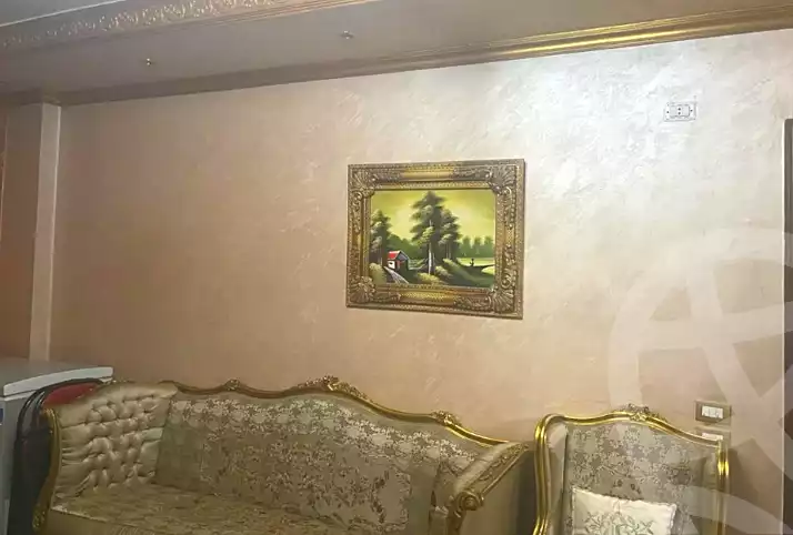 https://aqarmap.com.eg/ar/listing/7035236-for-sale-cairo-manial-manial-st