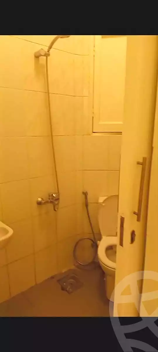 https://aqarmap.com.eg/en/listing/7035818-for-rent-cairo-downtown