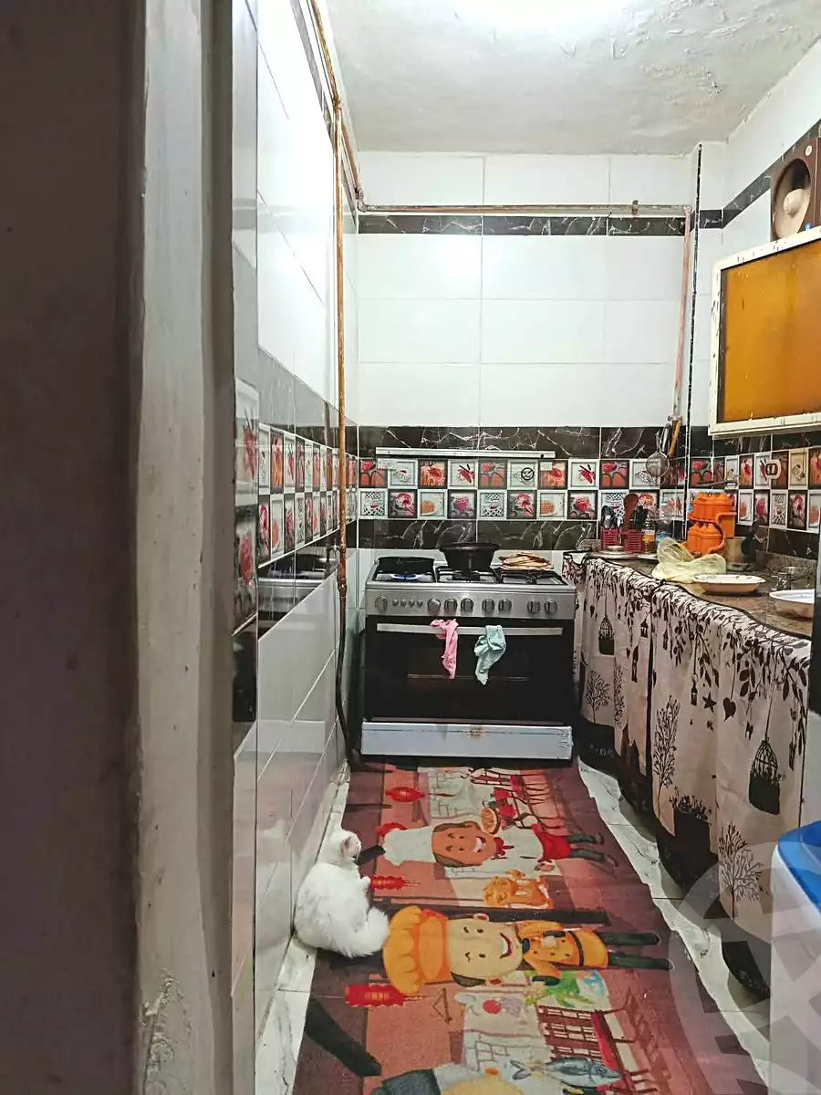 https://aqarmap.com.eg/en/listing/7038496-for-sale-alexandria-el-dekhela