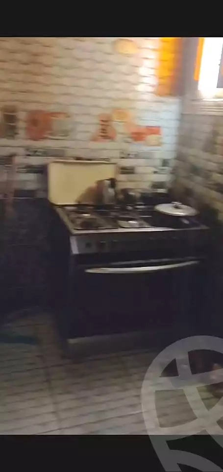 https://aqarmap.com.eg/ar/listing/7039809-for-sale-alexandria-el-mandara-nabawy-al-mohandes-st