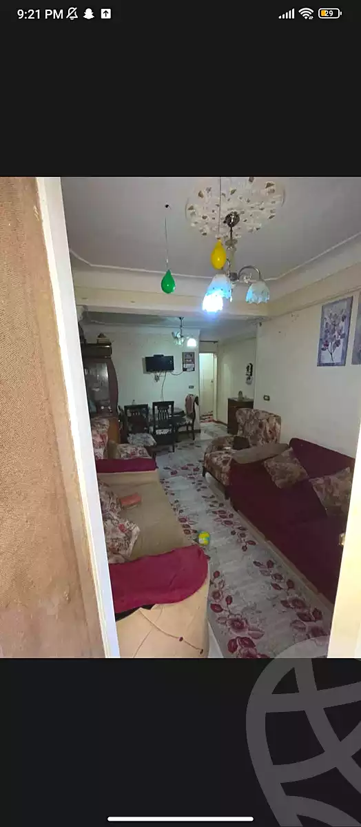 https://aqarmap.com.eg/en/listing/7040563-for-sale-alexandria-lsywf-el-falki