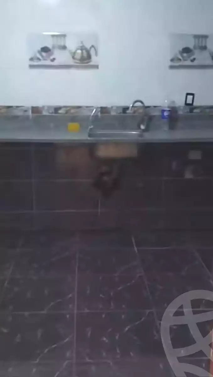 https://aqarmap.com.eg/ar/listing/7041386-for-sale-cairo-ain-shams-mnshy-lthryr