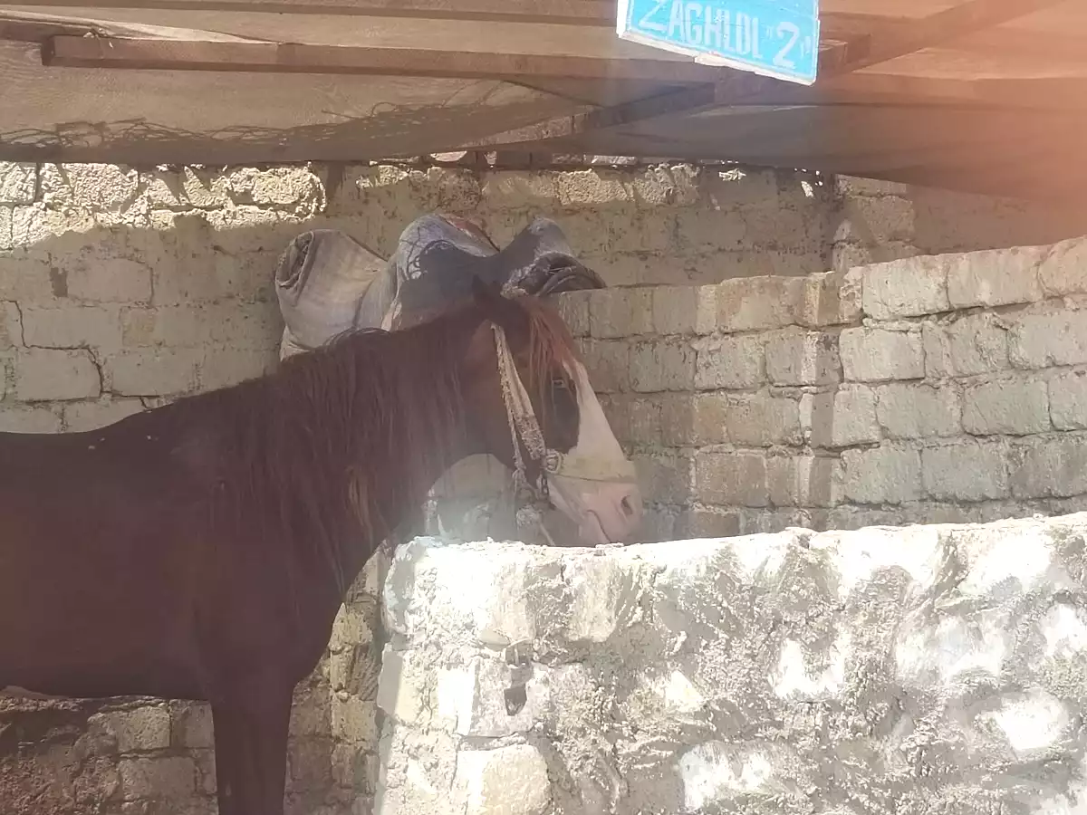 https://aqarmap.com.eg/en/listing/7043023-for-sale-el-fayoum-asyut-rd