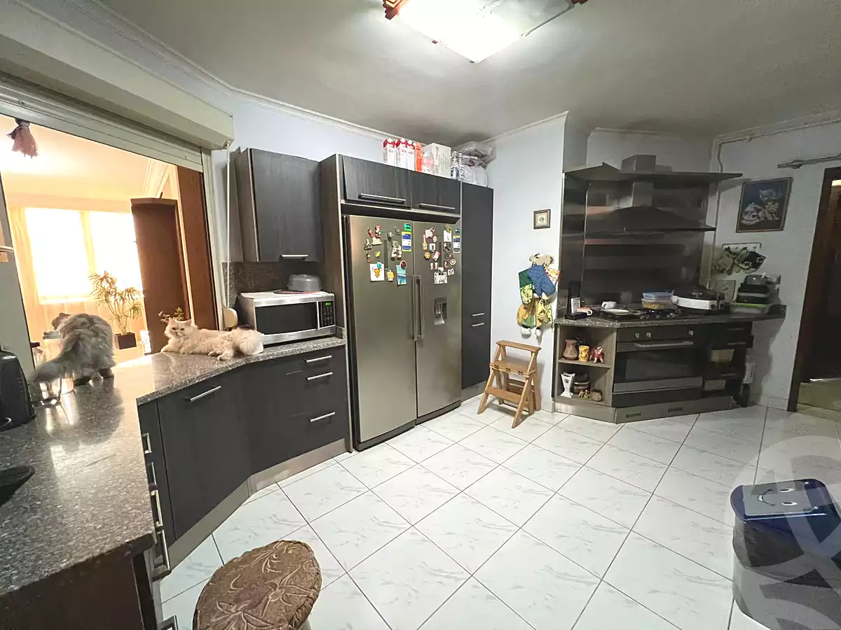 https://aqarmap.com.eg/en/listing/7044925-for-sale-cairo-el-mohandesen-shareaa-sorya