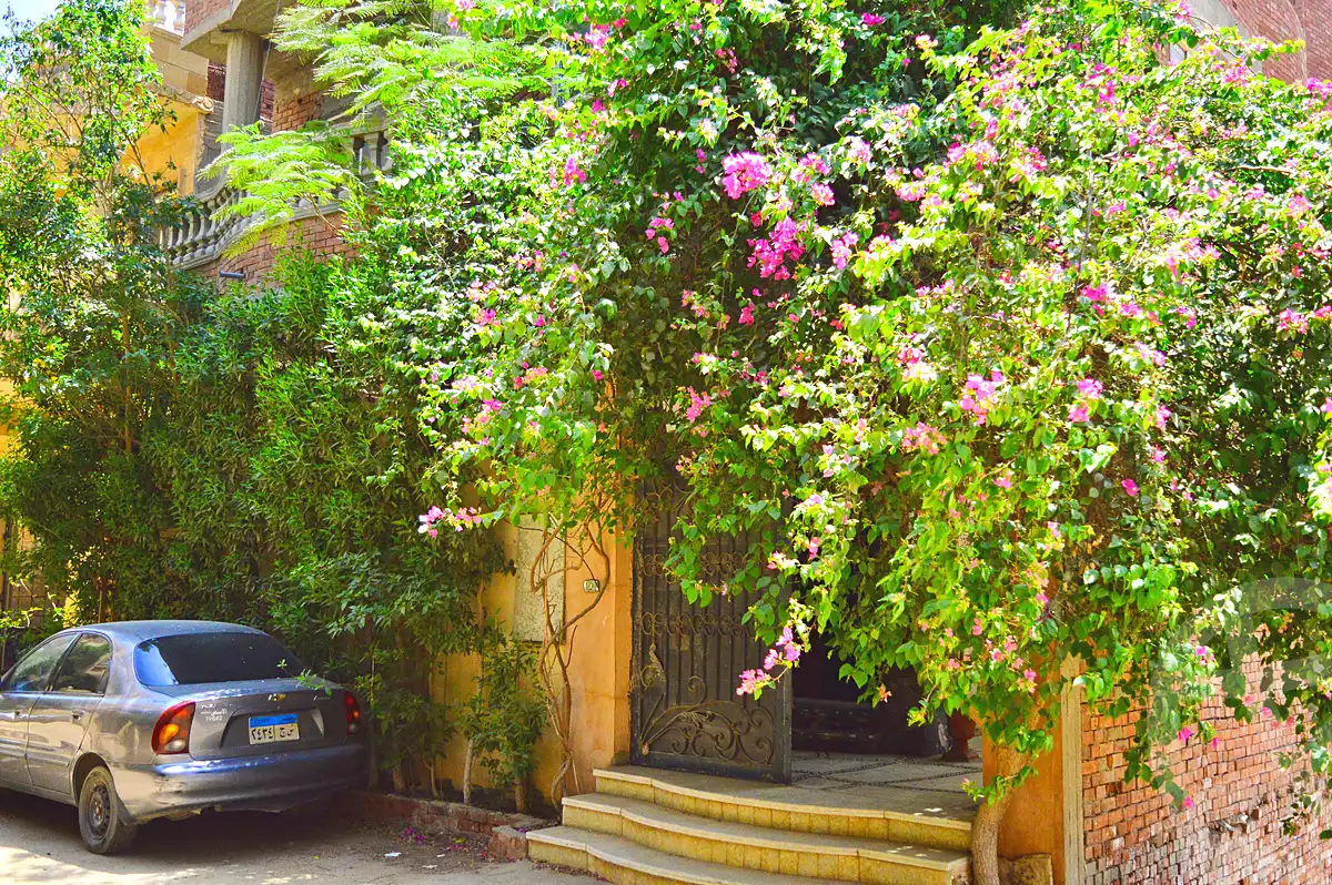 https://aqarmap.com.eg/ar/listing/7048551-for-sale-cairo-el-haram-mishaal