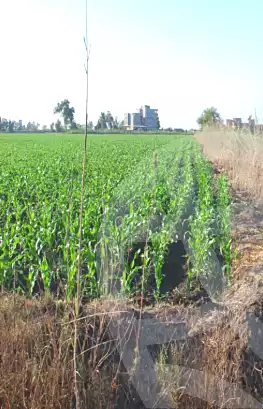 https://aqarmap.com.eg/ar/listing/7049200-for-sale-dakahlia-dekernes-kafr-abo-naser