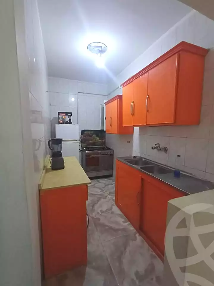 https://aqarmap.com.eg/ar/listing/7049517-for-rent-alexandria-el-mandara-abd-el-haleem-mahmoud-st