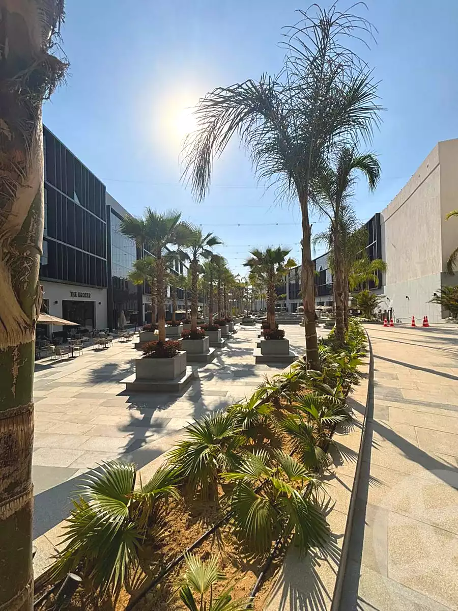 https://aqarmap.com.eg/en/listing/7049908-for-rent-cairo-new-cairo-compounds-lakeview-residence
