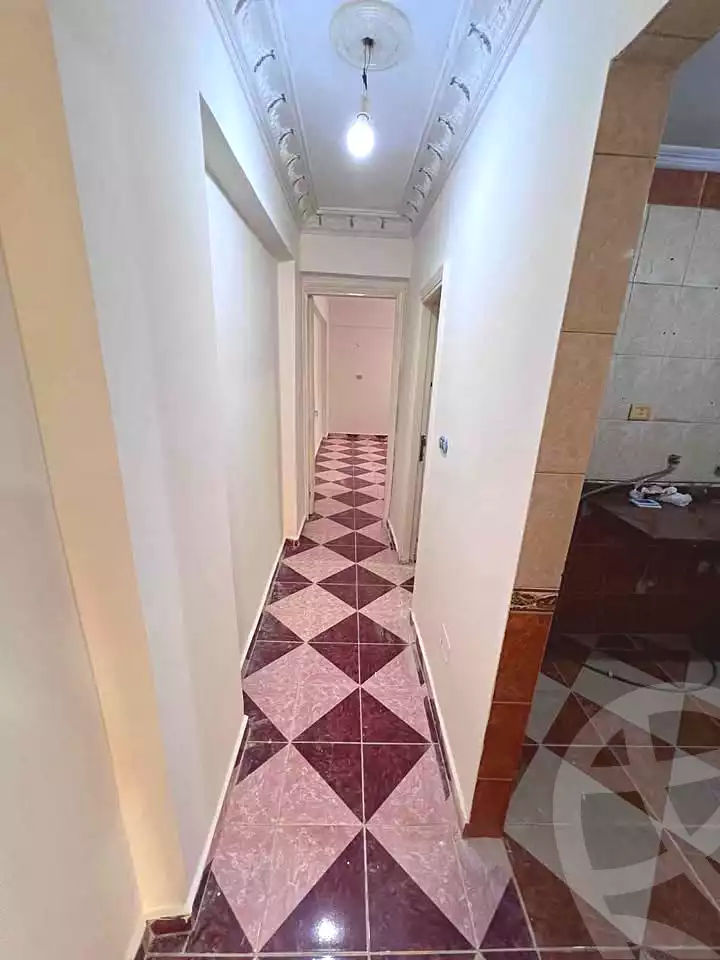 https://aqarmap.com.eg/en/listing/7051680-for-sale-alexandria-lsywf-el-falki-street-16-el-eslah