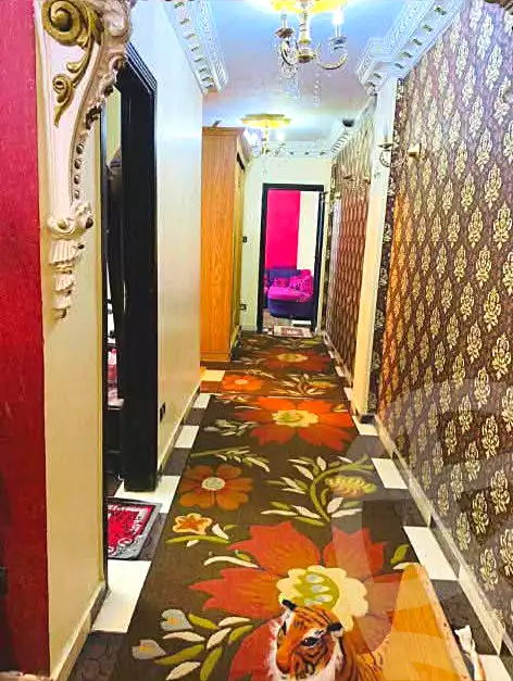 https://aqarmap.com.eg/ar/listing/7054598-for-sale-alexandria-al-agamy-lbytsh-qased-kareem-st