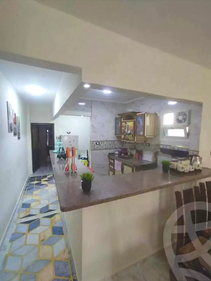 https://aqarmap.com.eg/en/listing/7054708-for-sale-alexandria-al-agamy-ibrahim-el-aowam-st