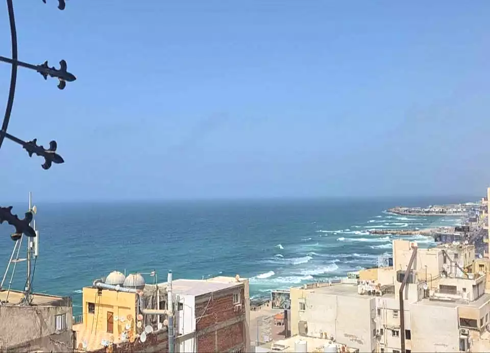 https://aqarmap.com.eg/en/listing/7057879-for-sale-alexandria-sporting