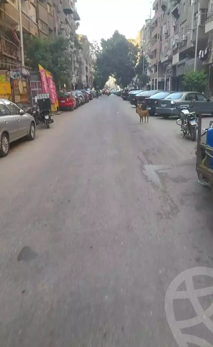 https://aqarmap.com.eg/ar/listing/7059155-for-sale-cairo-el-zaytun-hlmy-lzytwn
