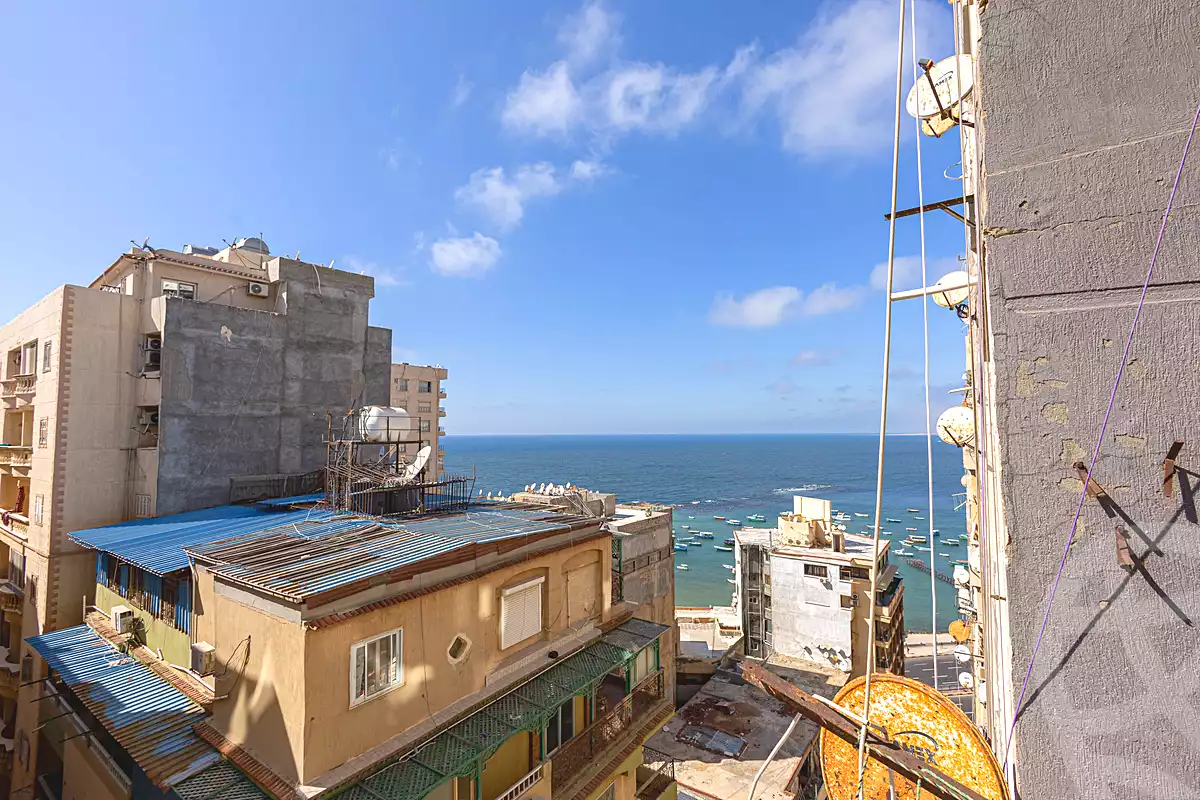 https://aqarmap.com.eg/en/listing/7059343-for-sale-alexandria-miami-salah-al-din-shaban-st