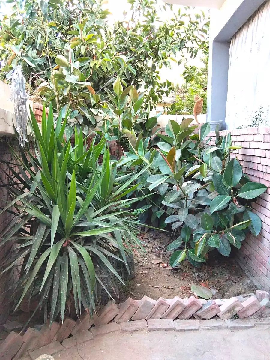 https://aqarmap.com.eg/en/listing/7060992-for-sale-alexandria-al-agamy-el-hanouvel-el-attar-st