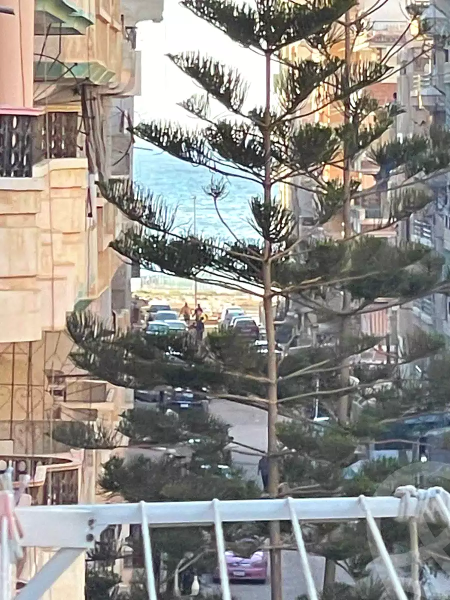 https://aqarmap.com.eg/en/listing/7061968-for-sale-alexandria-al-agamy-shataa-el-nakheel